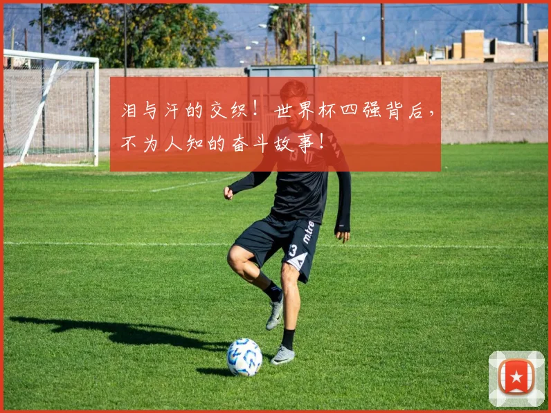 泪与汗的交织！世界杯四强背后，不为人知的奋斗故事！