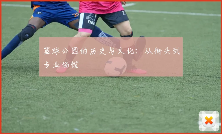 篮球公园的历史与文化:从街头到专业场馆