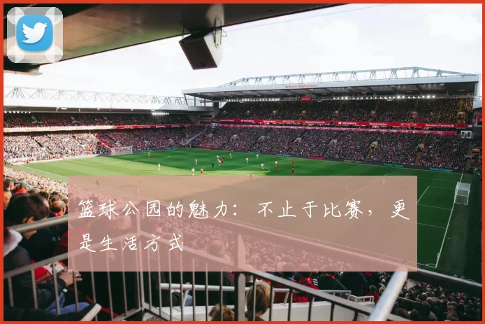篮球公园的魅力:不止于比赛,更是生活方式