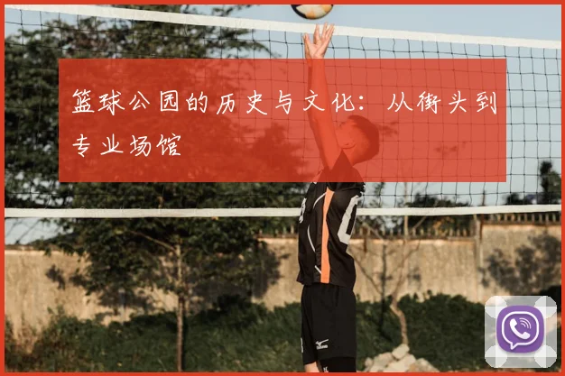 篮球公园的历史与文化：从街头到专业场馆