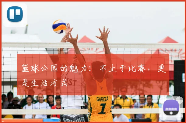 篮球公园的魅力:不止于比赛,更是生活方式